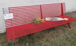 pettenasco panchina 1