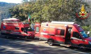 pettenasco ricerche viff