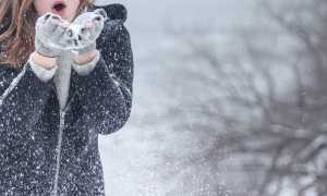 pexels kristin vogt 54200