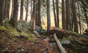 pexels photo 1834393