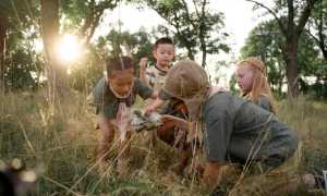 pexels photo 9302784