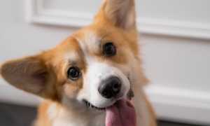 pexels ron lach 7792647