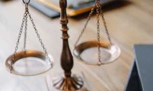 pexels sora shimazaki 5669619