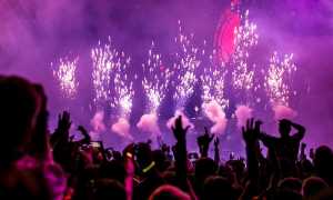 pexels wendy wei 1190298