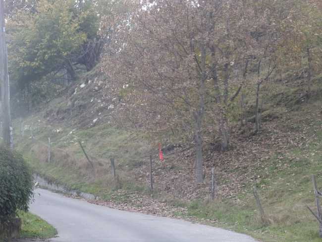 piantaUtlo700