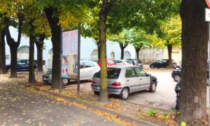 piante largo madonna neve gibellino