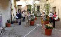 piazzetta2