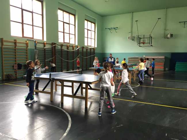 pingpong