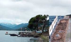 pini marina p