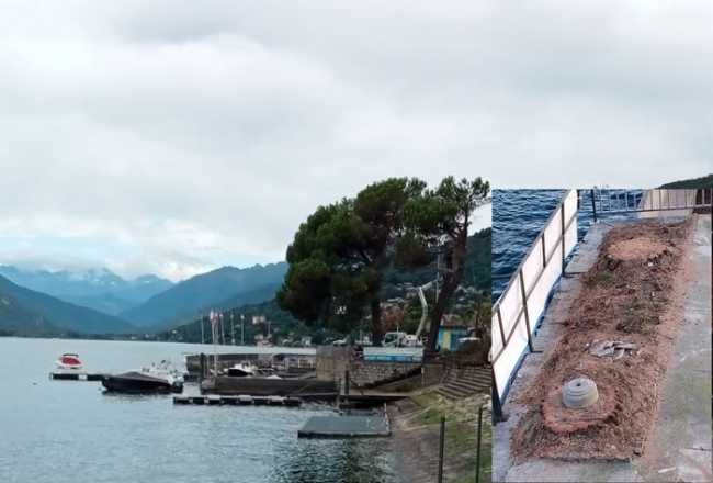 pini marina p