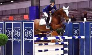 piovani blu salto