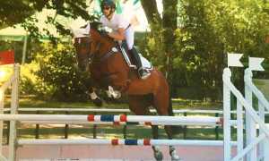 piovani cavallo salto frontale