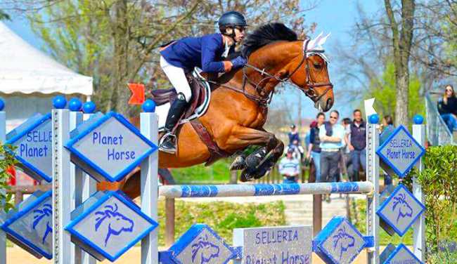 piovani cavallo varese