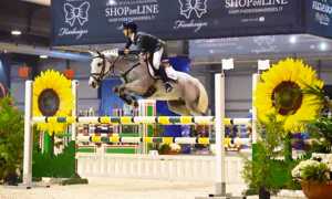 piovani equitazione cavallo