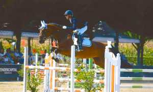 piovani salto cavallo