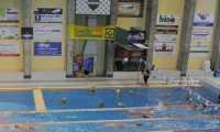 pisc vb