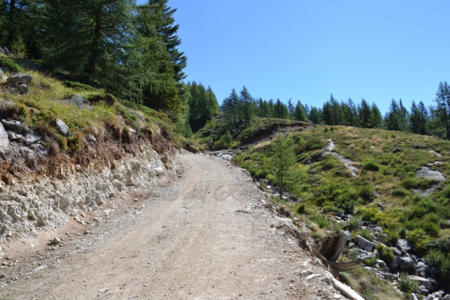 pista.moro italia nostra