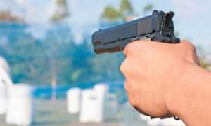 pistola