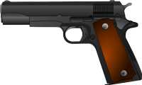 pistola