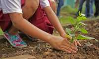 planting 1898946 960 720