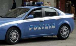 pol gen 19