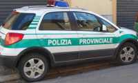 pol prov