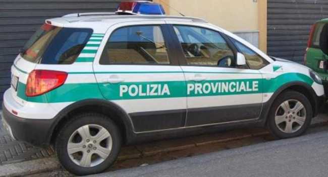 pol prov