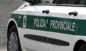 pol provinciale