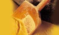 polenta paletta