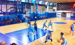 poli opposti cipir borgomanero