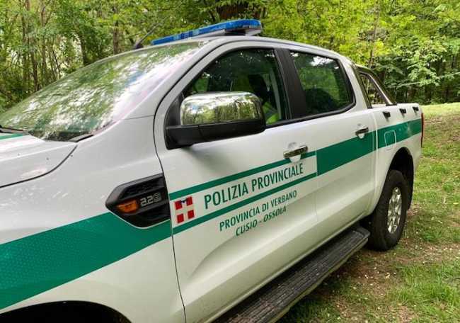 polizia provinciale