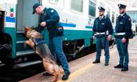 polizia cinofila cane treno