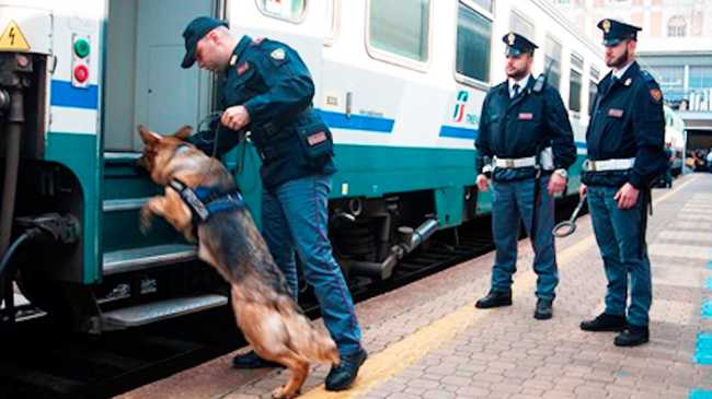 polizia cinofila cane treno