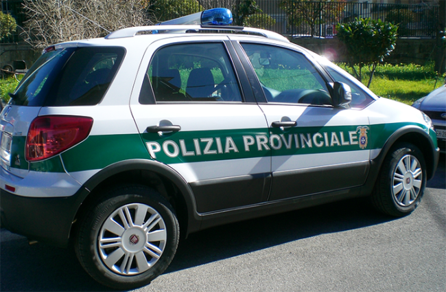 polizia provinciale auto