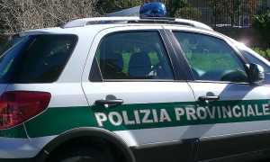 polizia provinciale