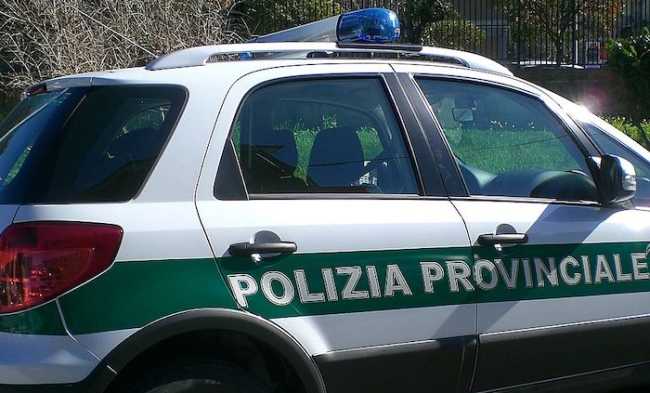 polizia provinciale