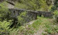 ponte velina