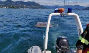 pontile deriva