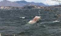 pontile