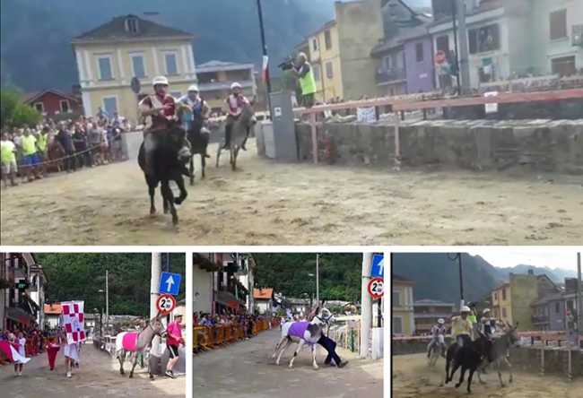 premosello palio 19
