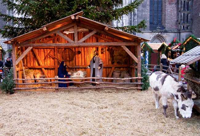 presepe vivente asinello