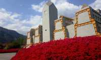provincia vco primavera