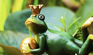 ranocchio corona principe