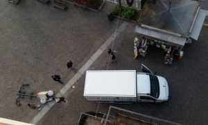 ranzoni palo abbattuto apr 16