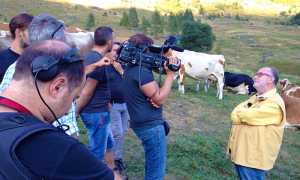 raspelli mucche antrona tv