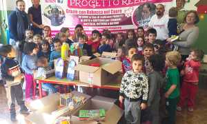 rebecca scuole fernandez