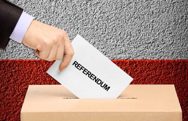 referendum generico