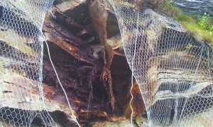 rete paramassi trasquera