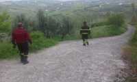 ricerche generico