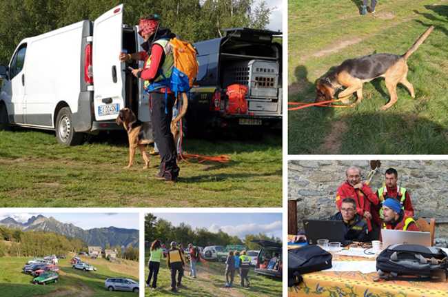 ricerche soccorso cinofila mix set 19